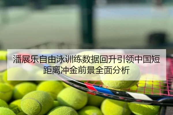 潘展乐自由泳训练数据回升引领中国短距离冲金前景全面分析